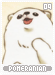pomeranian09