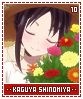 kaguyashinomiya10
