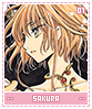 sakura01